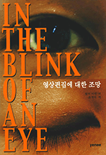 IN THE BLINK OF AN EYE -   